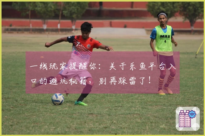 一线玩家提醒你：关于乐鱼平台入口的避坑秘籍，别再踩雷了！