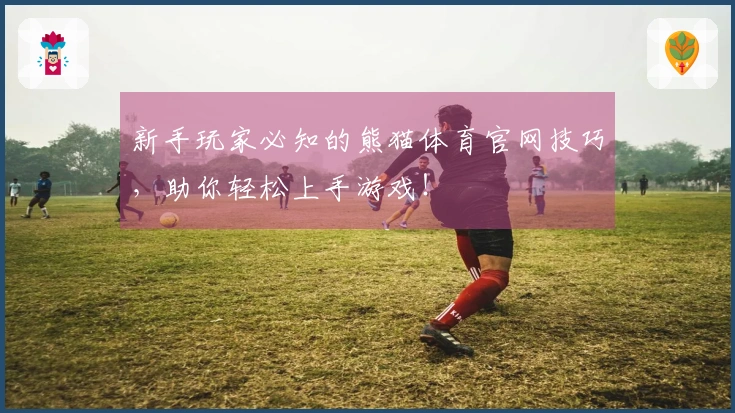 新手玩家必知的熊猫体育官网技巧，助你轻松上手游戏！