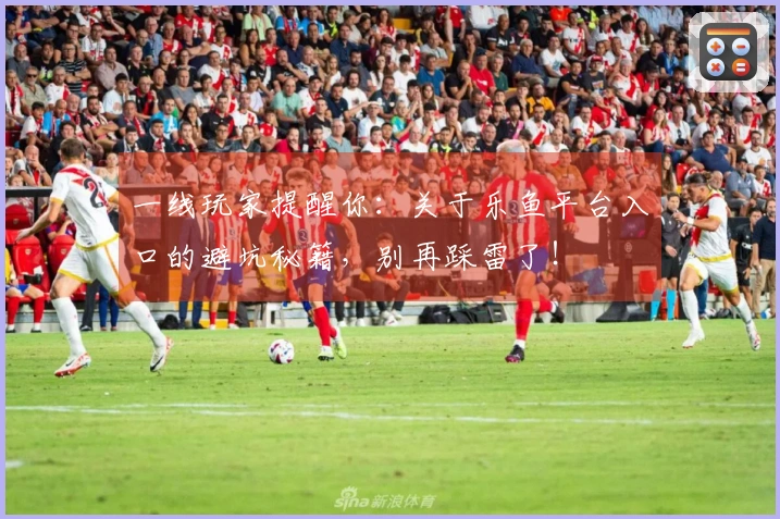 一线玩家提醒你：关于乐鱼平台入口的避坑秘籍，别再踩雷了！